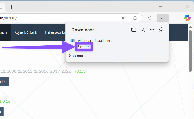 Running WireGuard installer